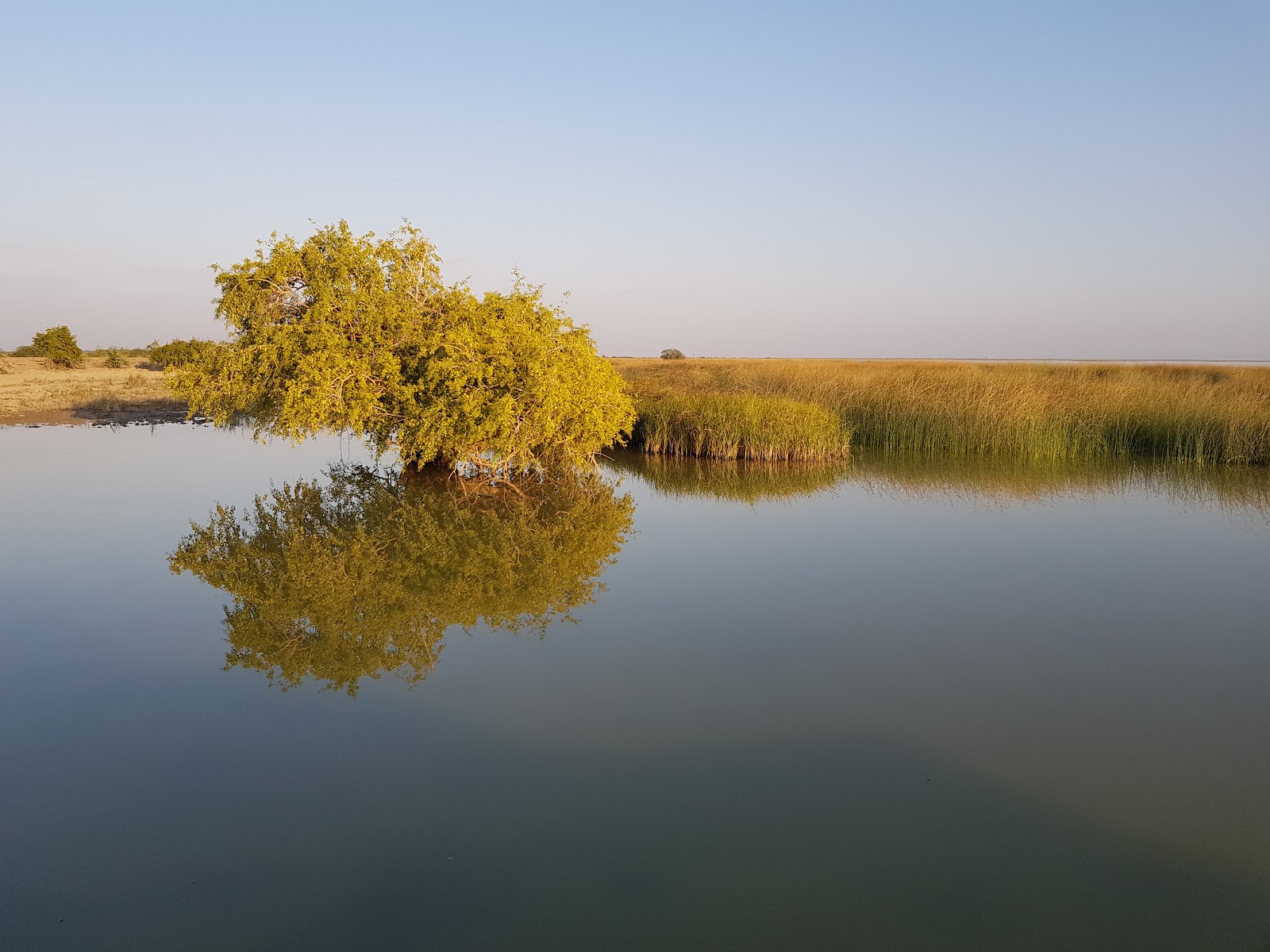 Chhari Dhandh Wetland Conservation Reserve