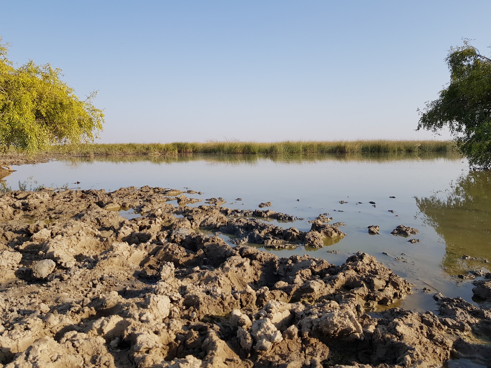 Chhari Dhandh Wetland Conservation Reserve