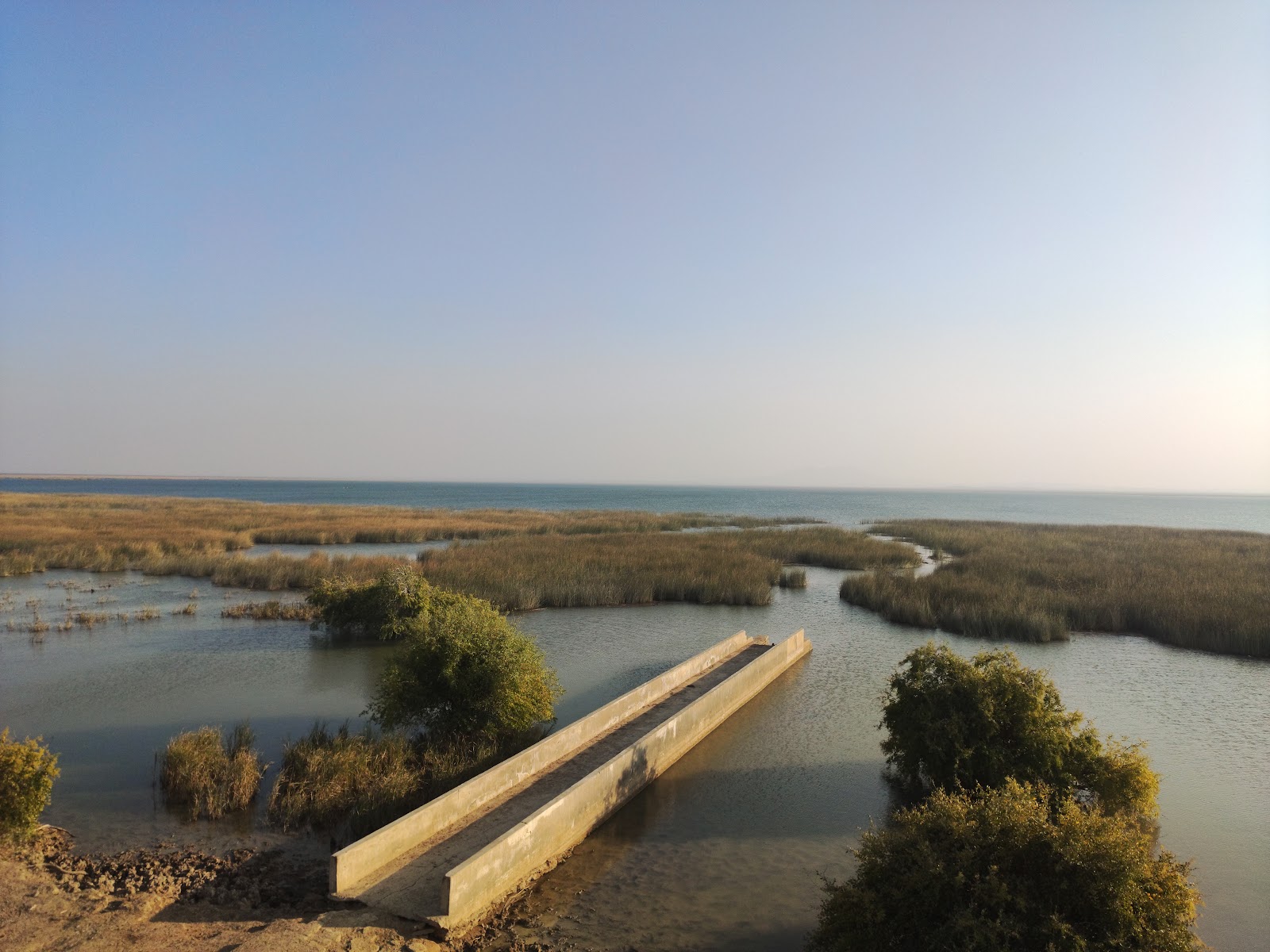 Chhari Dhandh Wetland Conservation Reserve