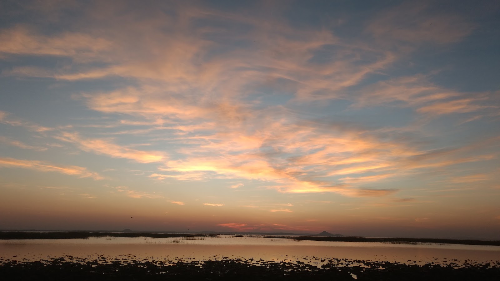 Chhari Dhandh Wetland Conservation Reserve