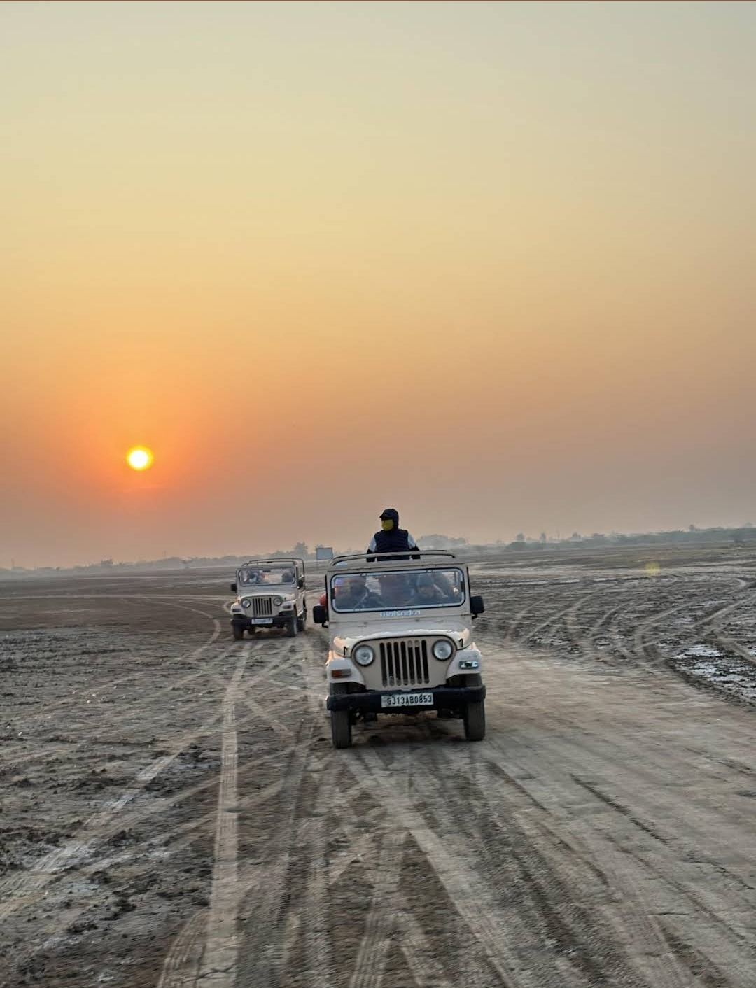 Indian Wild Ass Sanctuary