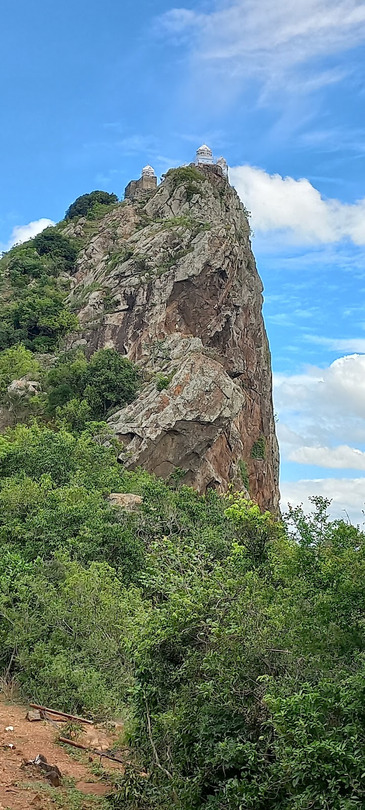 Cauvery Delta Viewpoint