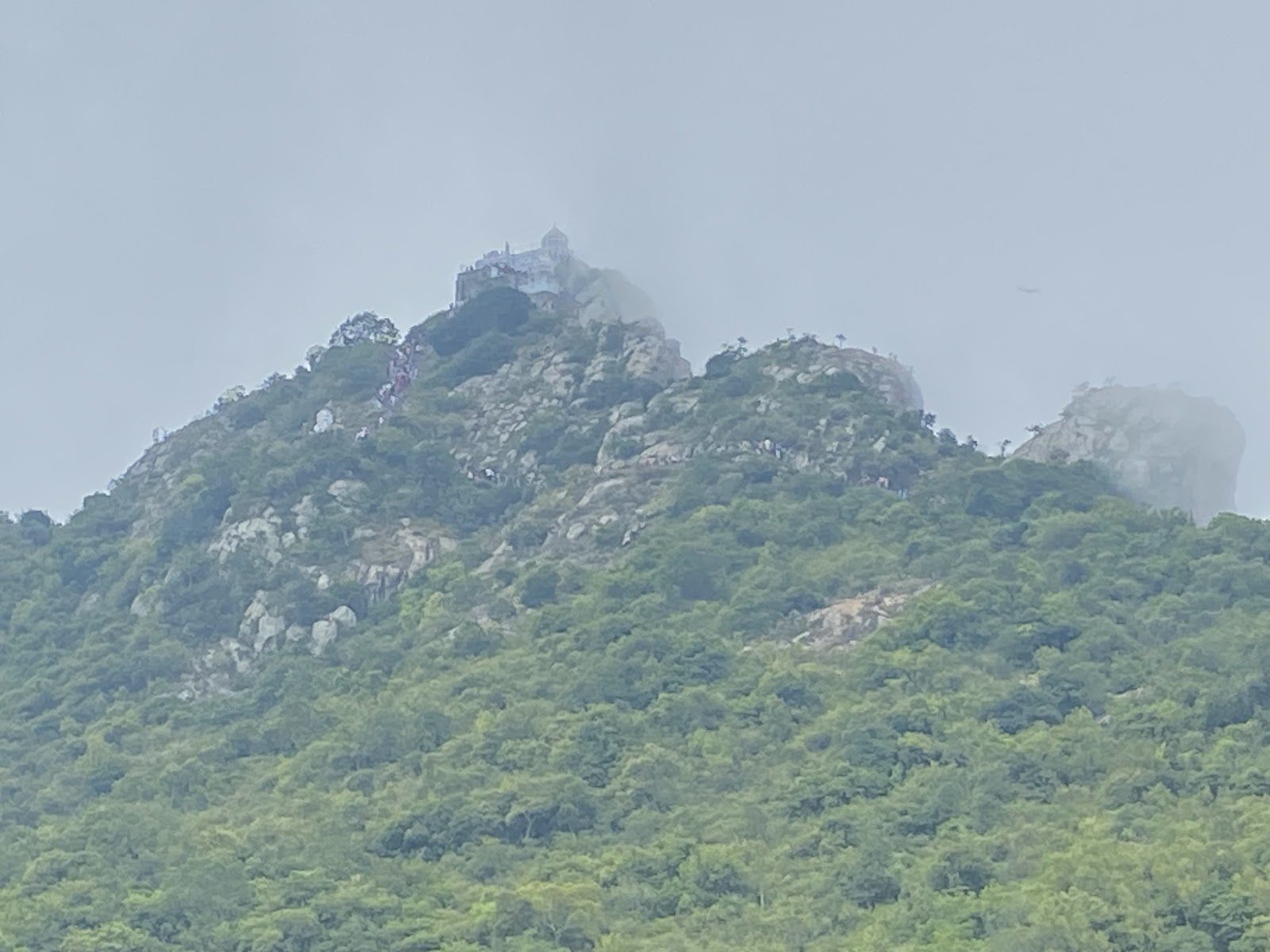 Cauvery Delta Viewpoint