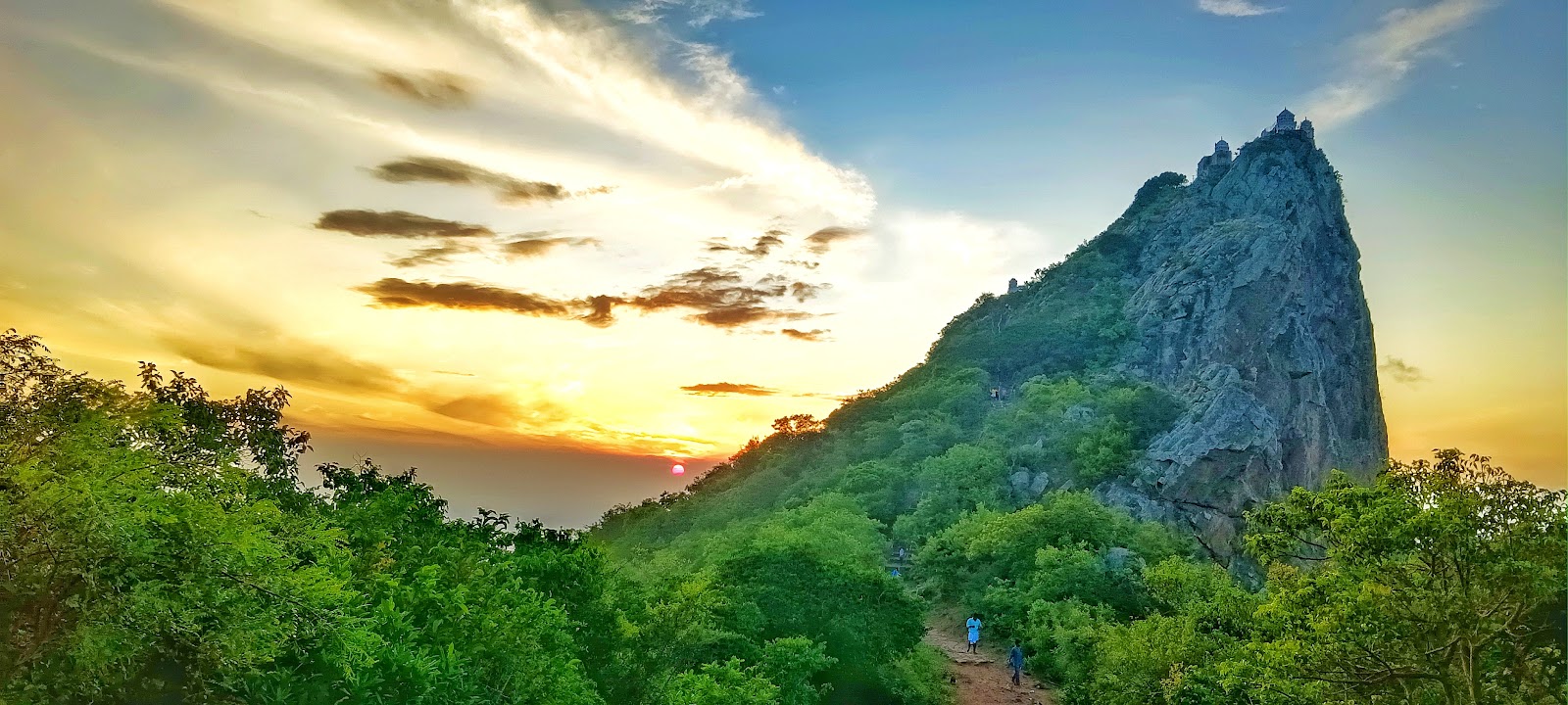 Cauvery Delta Viewpoint