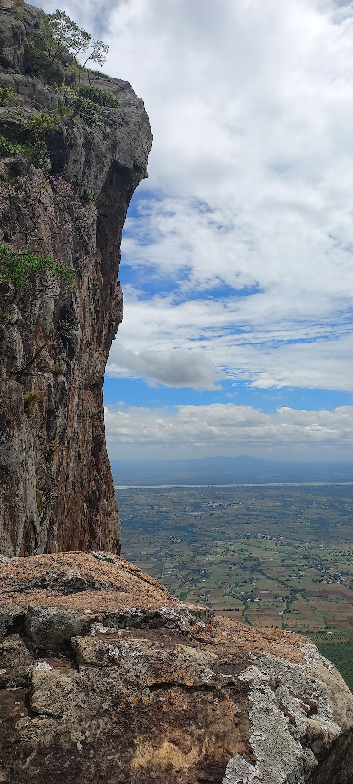 Cauvery Delta Viewpoint