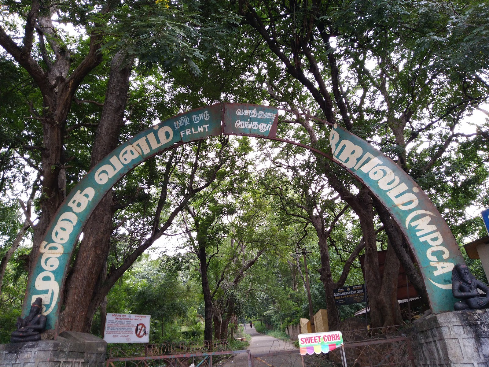 Chitraruvi Waterfall