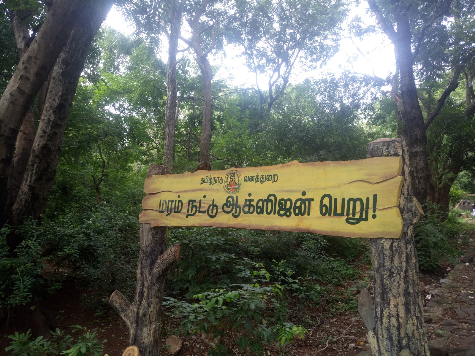Chitraruvi Waterfall