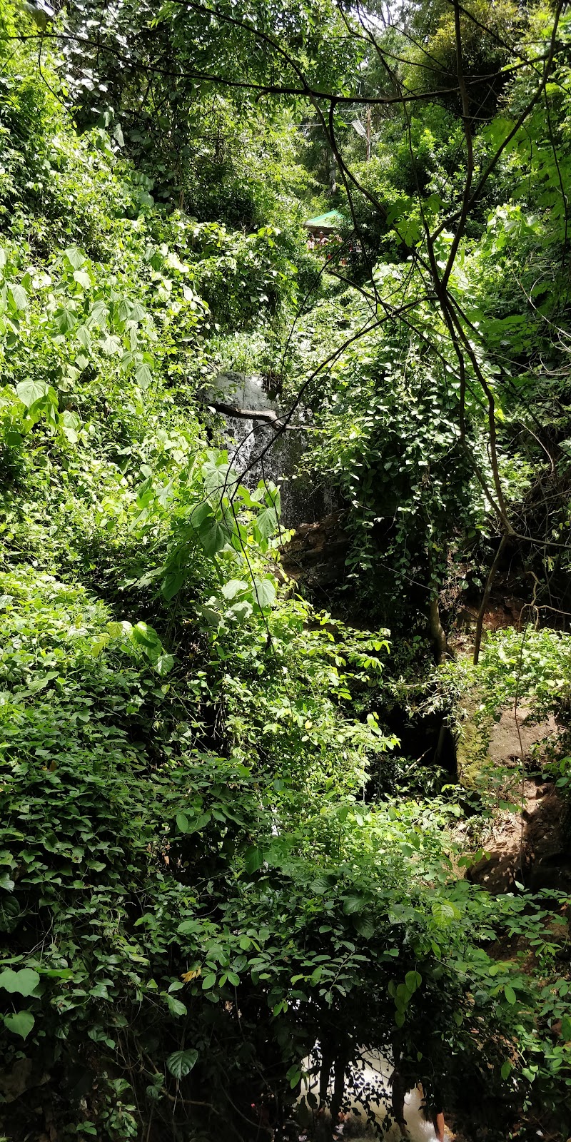 Chitraruvi Waterfall