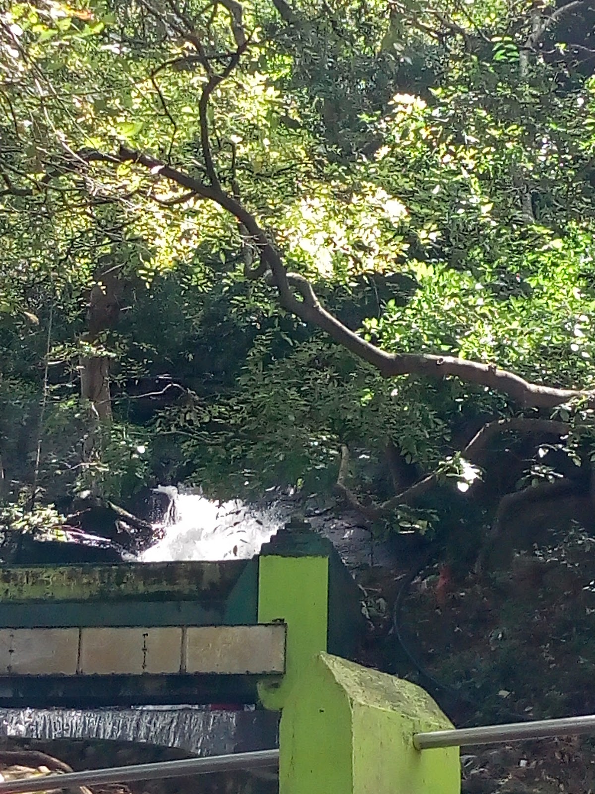 Chitraruvi Waterfall