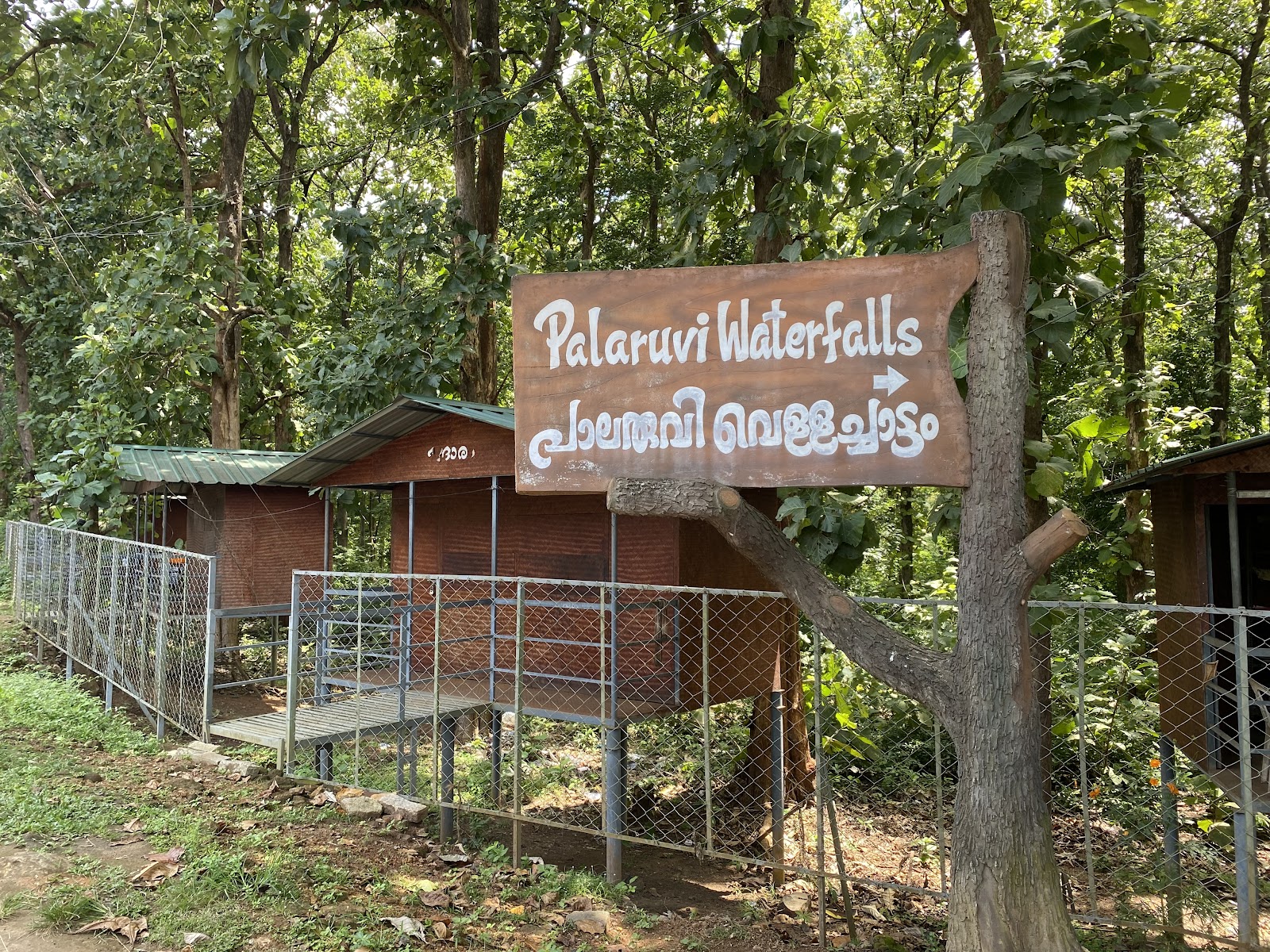 Palaruvi Waterfall