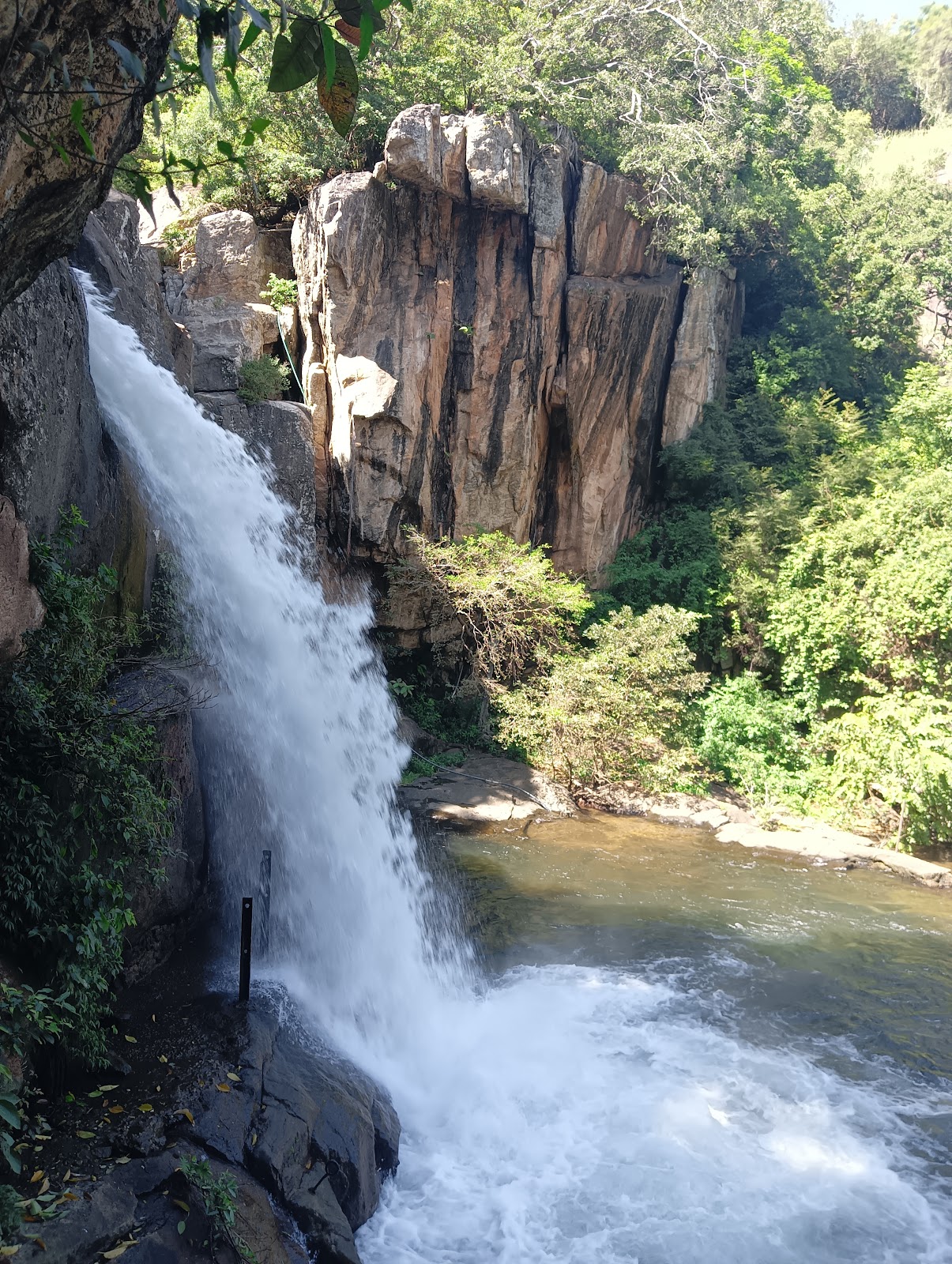 Shenbaga Falls