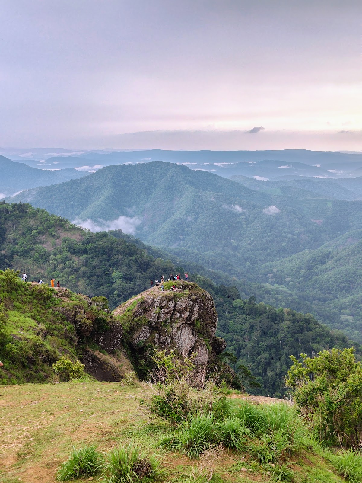 Kuttikkanam, Kerala: Hill Station Guide, Tea Gardens & Things To Do