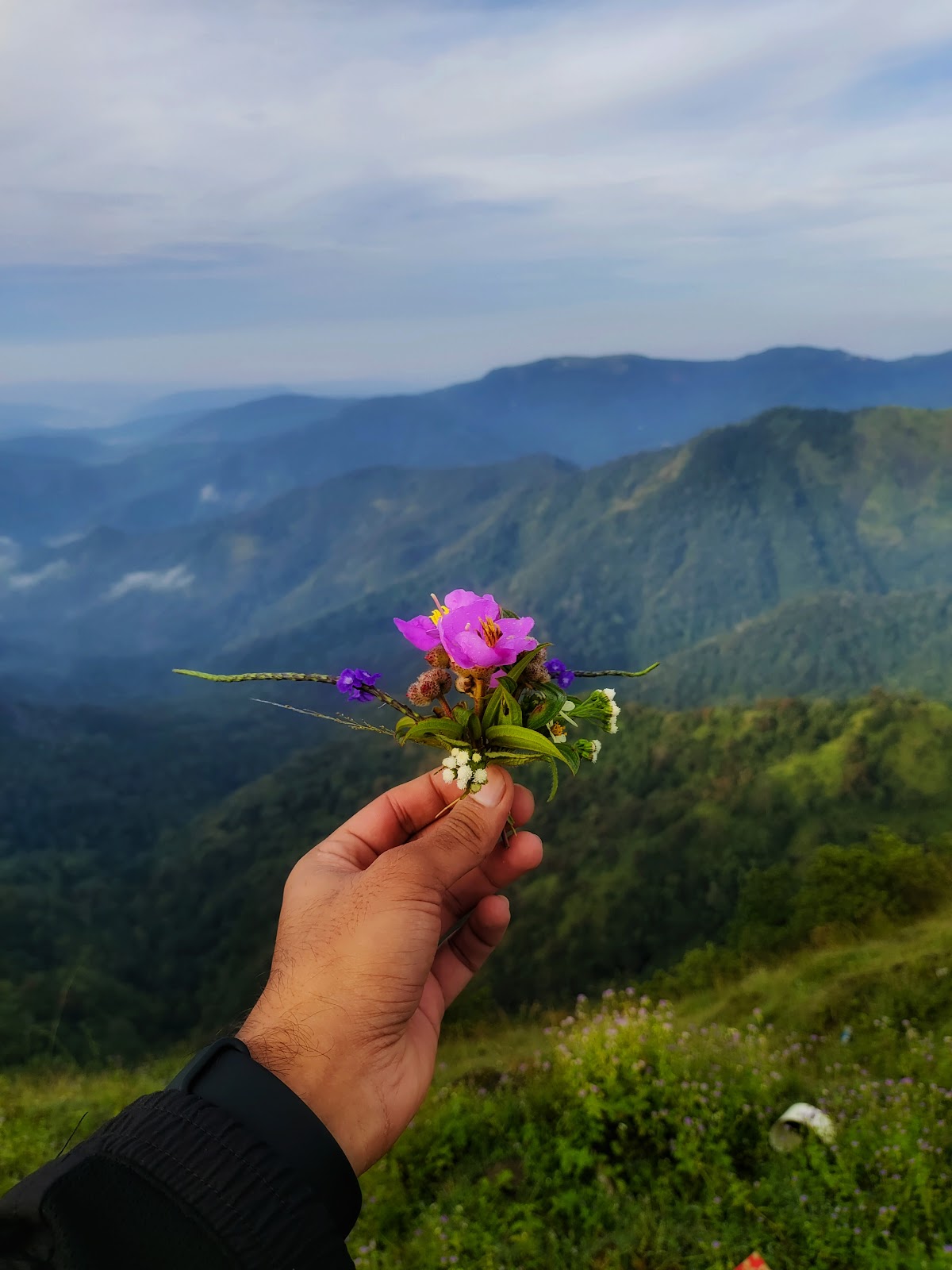 Parunthumpara View Point