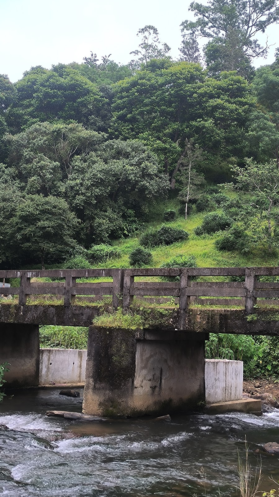 Parunthumpara View Point