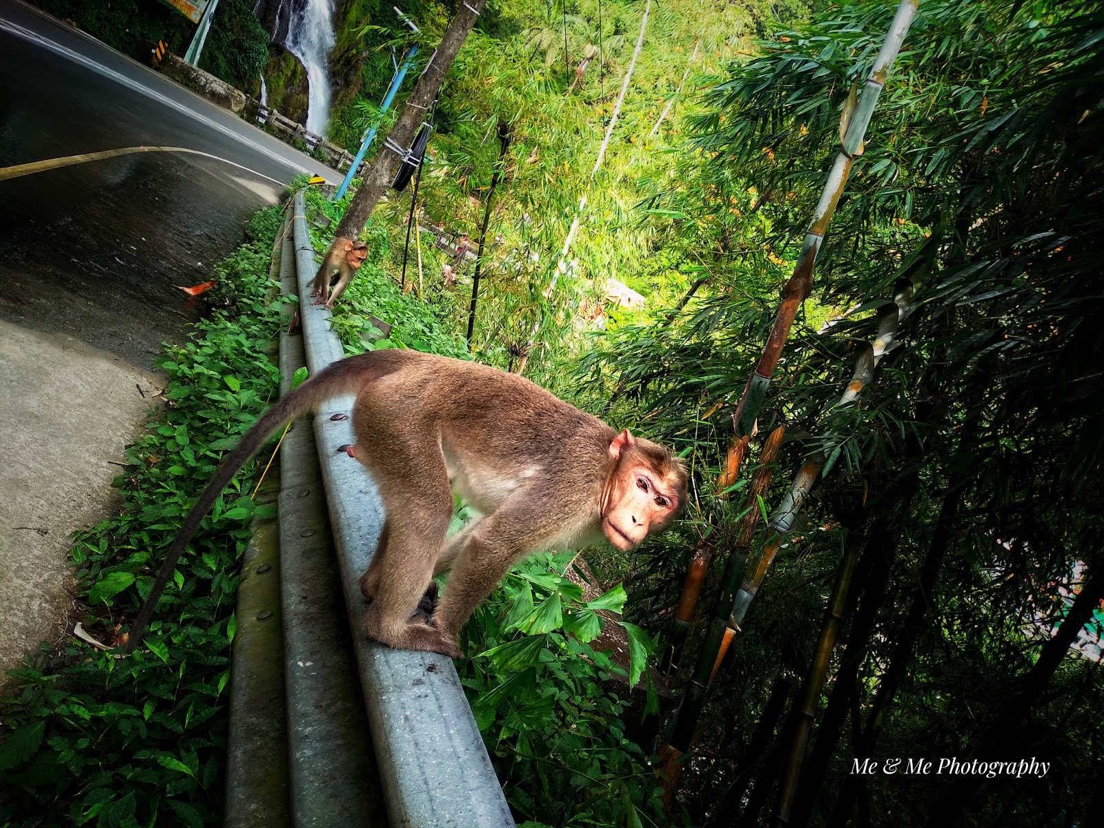 Valanjanganam waterfalls