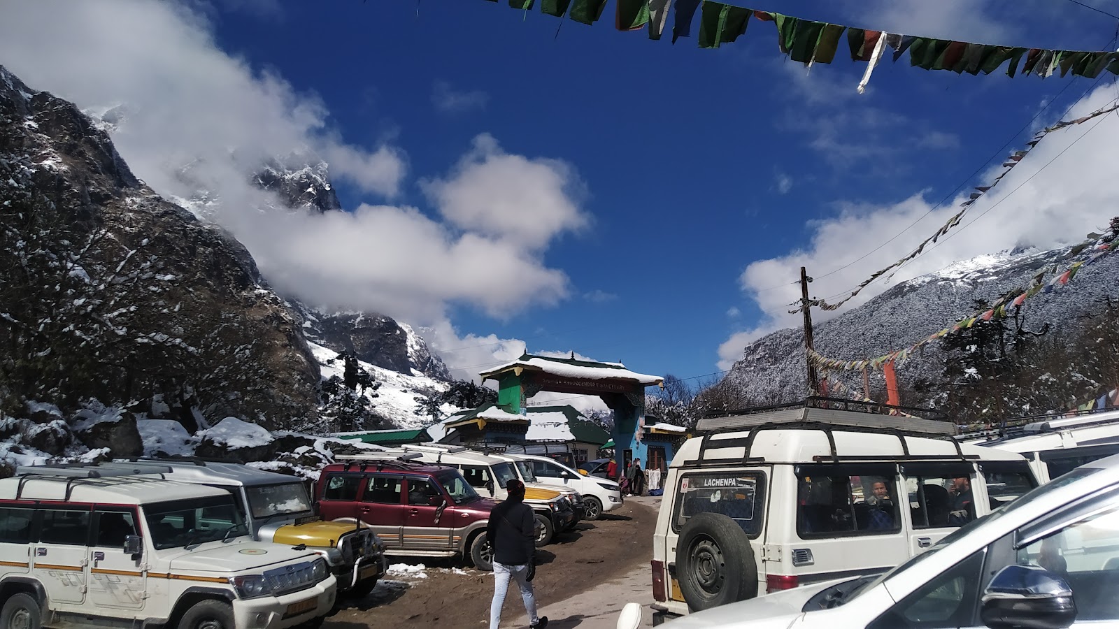 Shingba Rhododendron Sanctuary