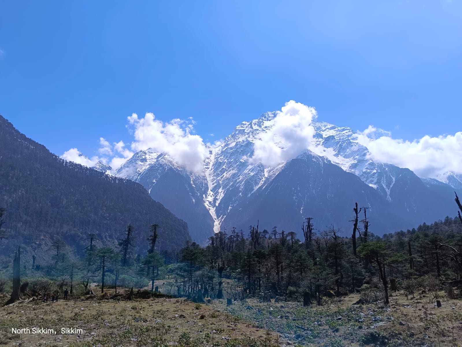 Shingba Rhododendron Sanctuary