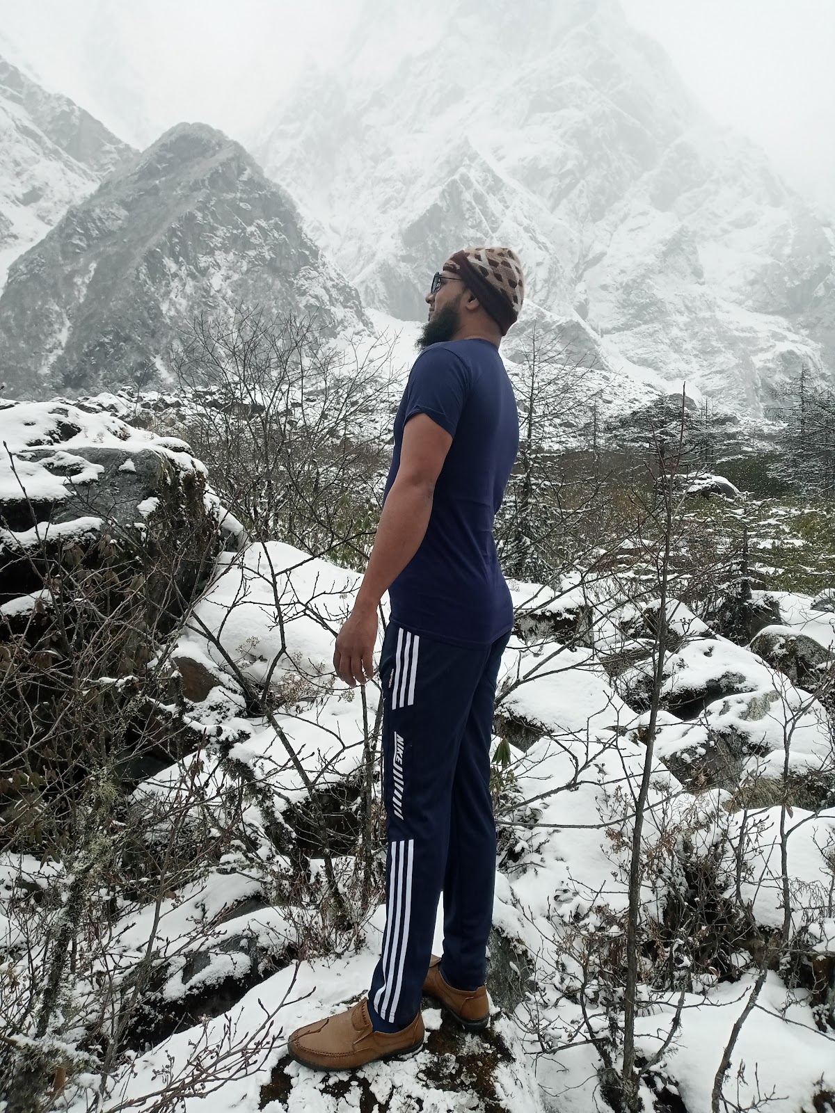 Shingba Rhododendron Sanctuary