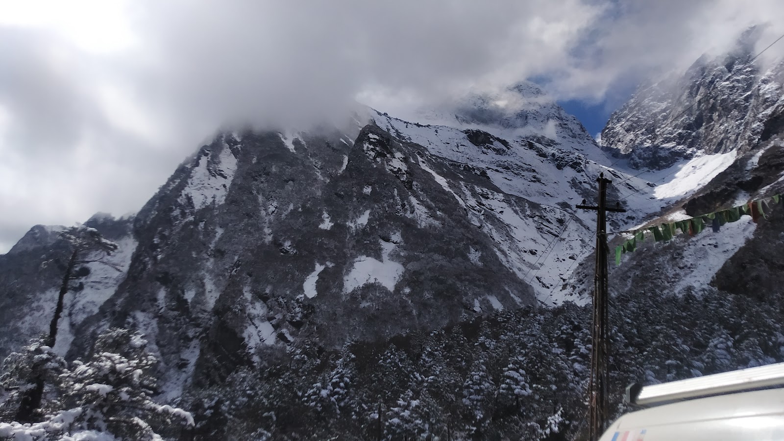 Shingba Rhododendron Sanctuary