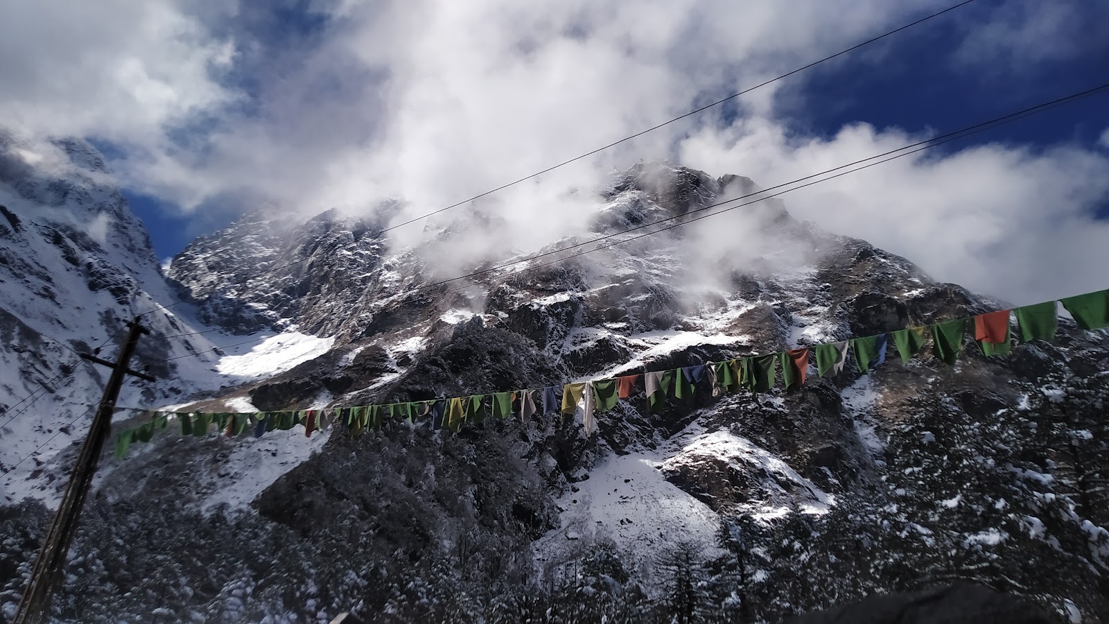 Shingba Rhododendron Sanctuary
