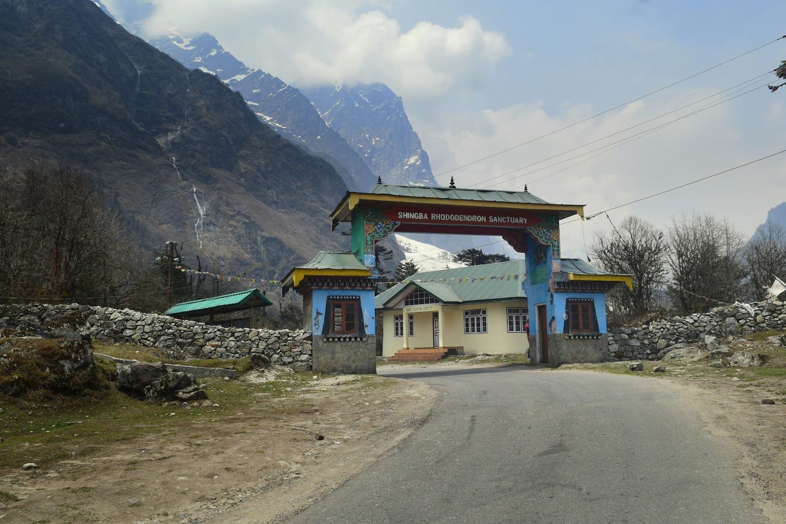 Shingba Rhododendron Sanctuary