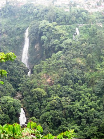 Bishop Falls