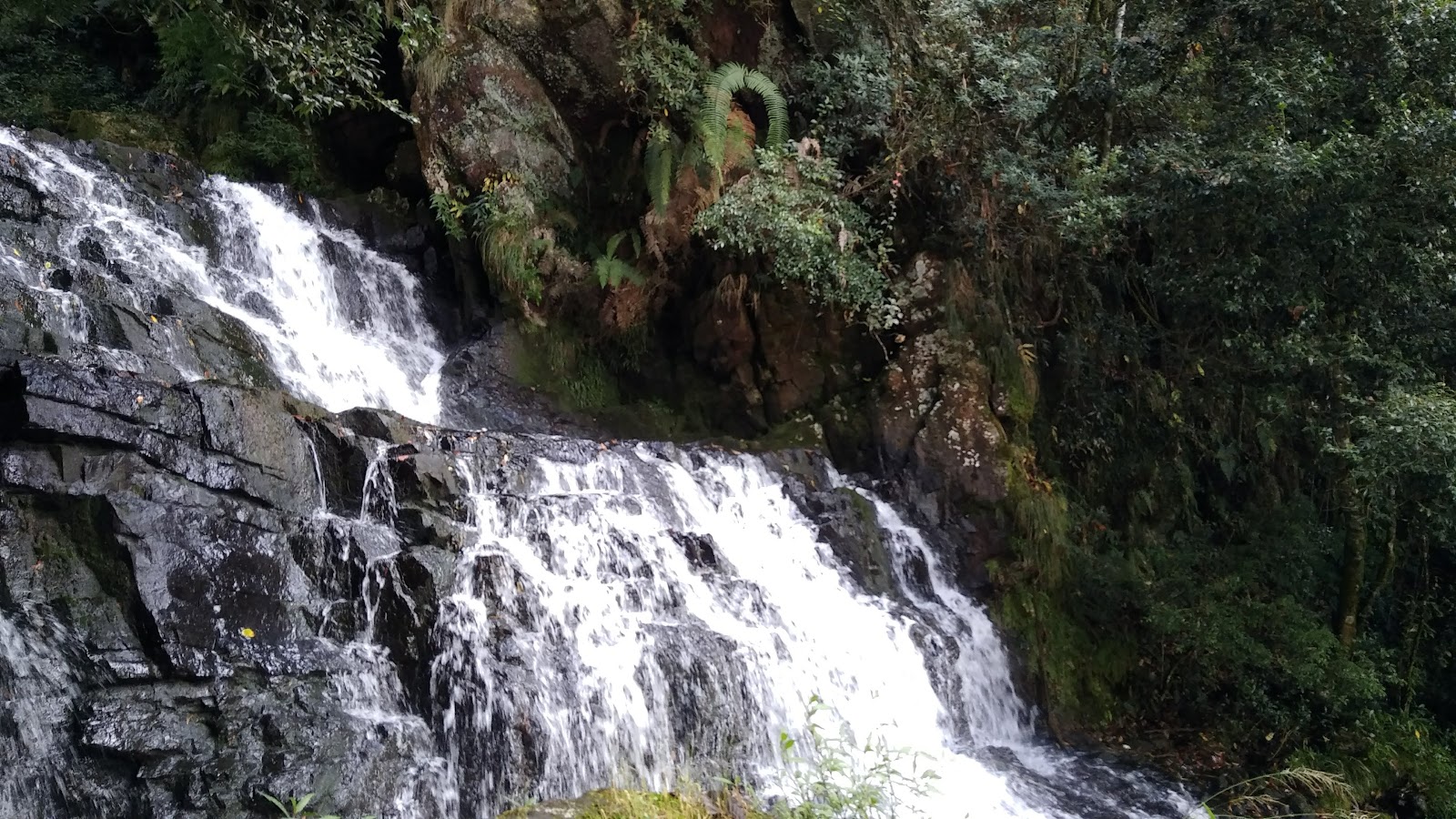 Elephant Falls