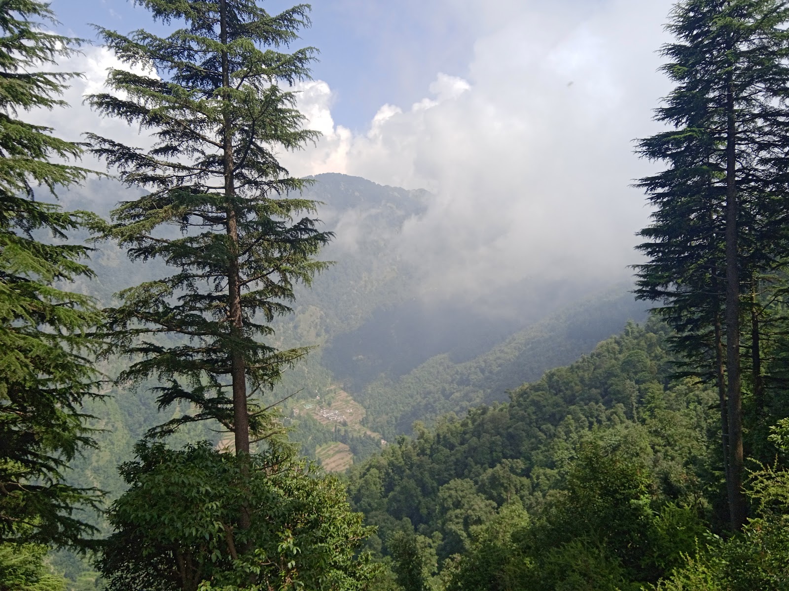 Dhanaulti