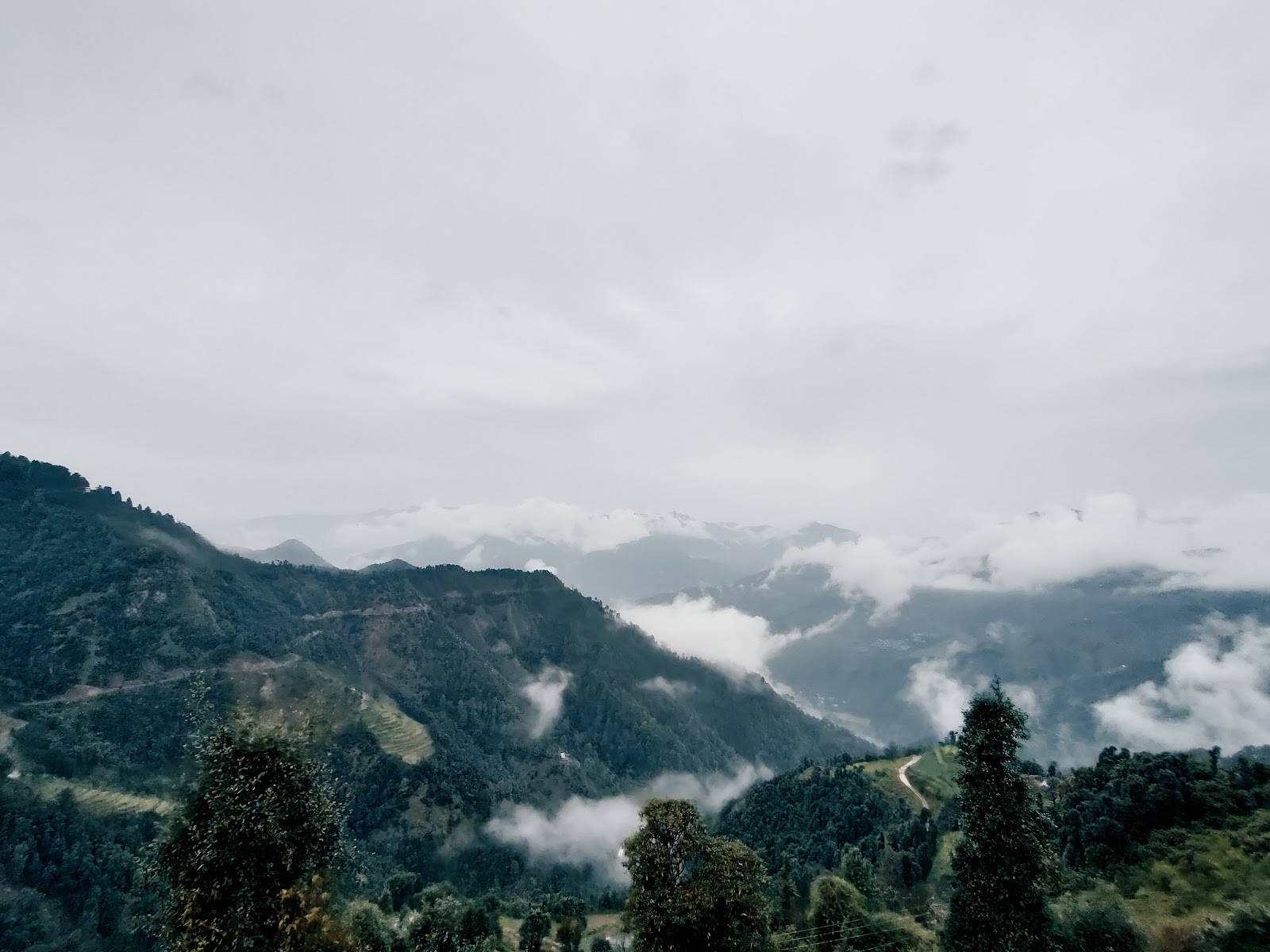 Dhanaulti
