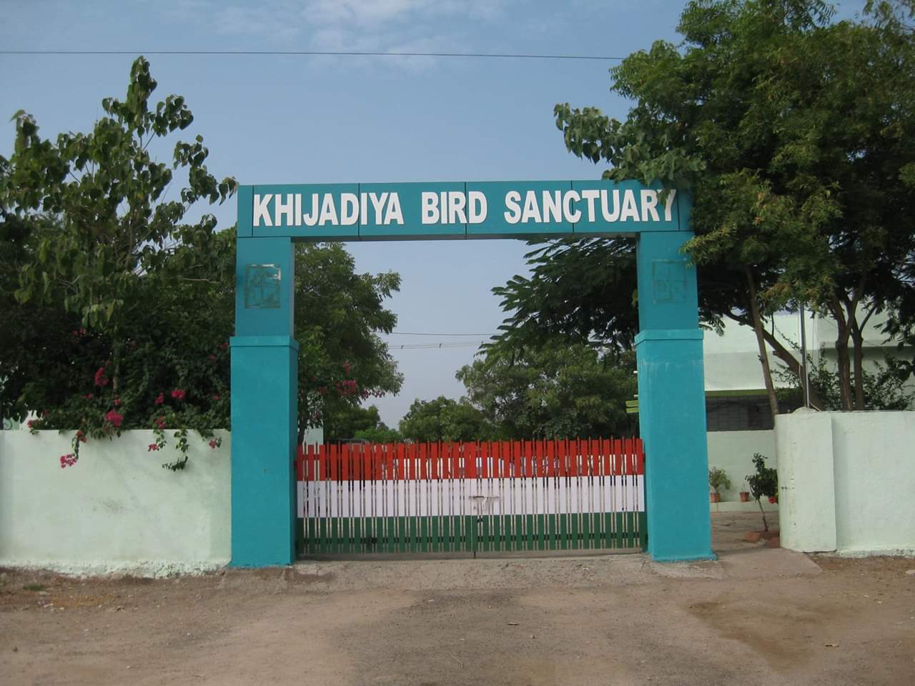 Birdwatching Hideouts