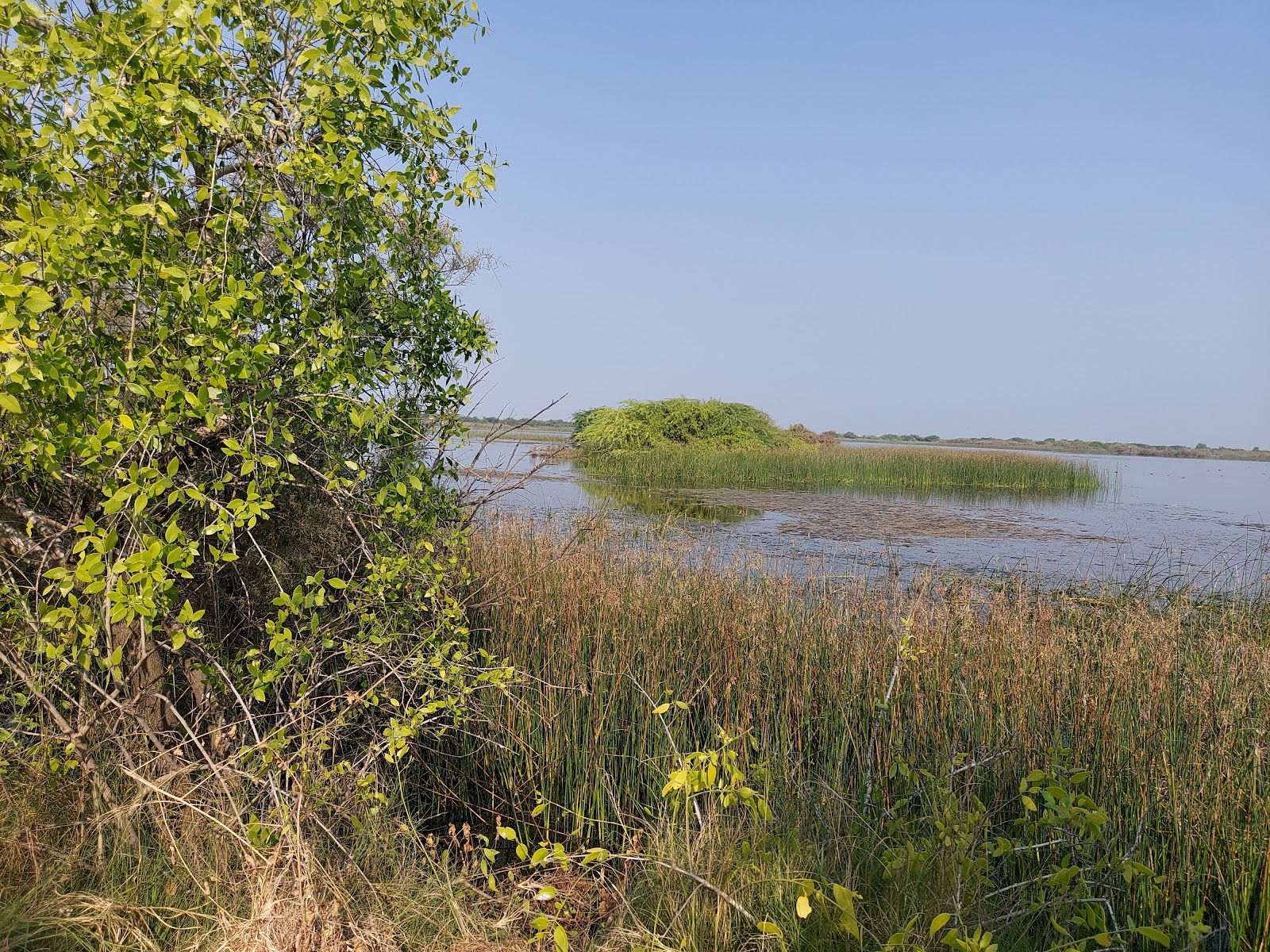 Birdwatching Hideouts