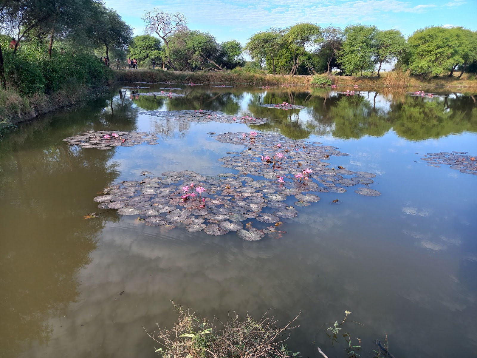 Birdwatching Hideouts