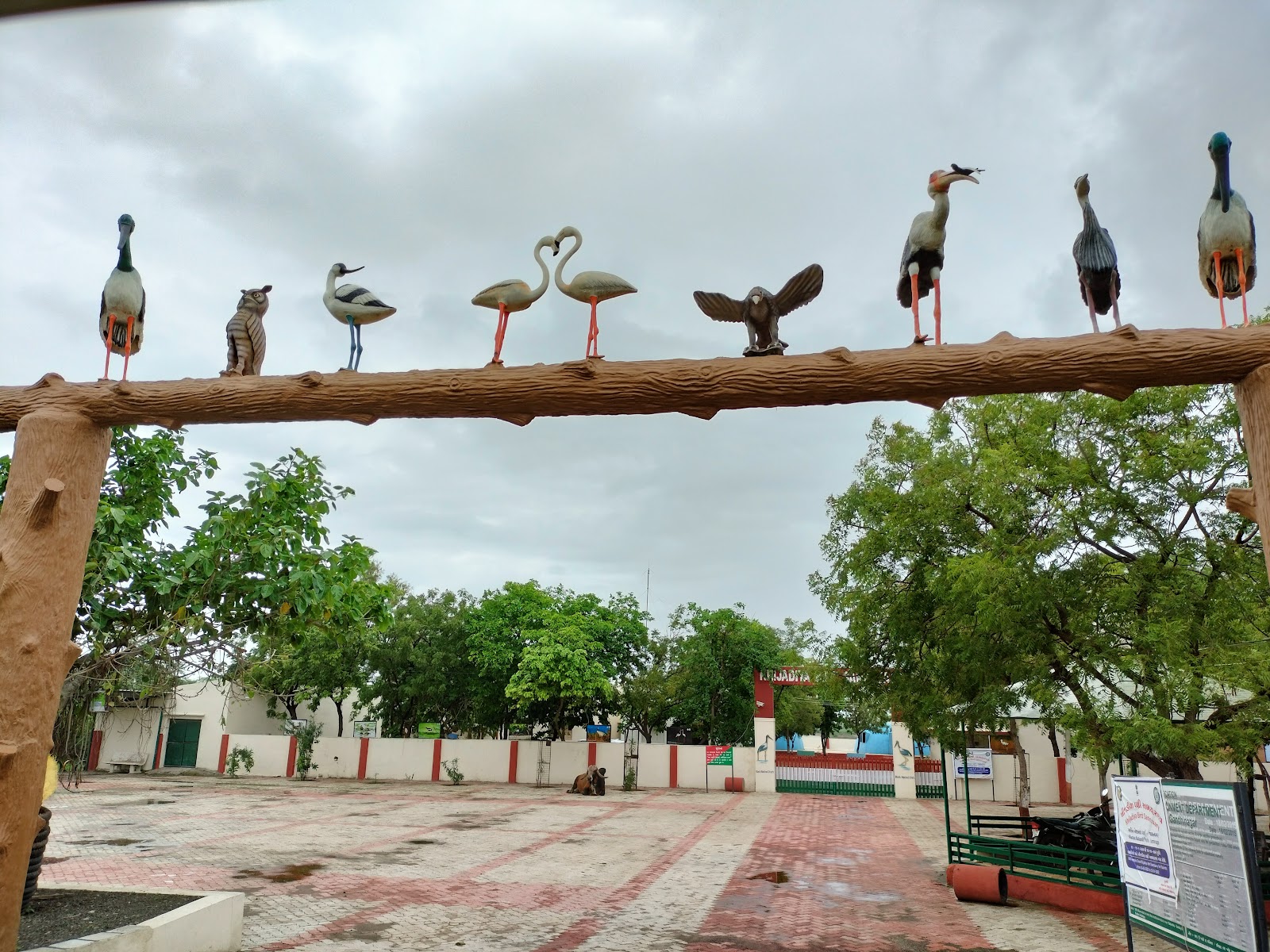 Birdwatching Hideouts