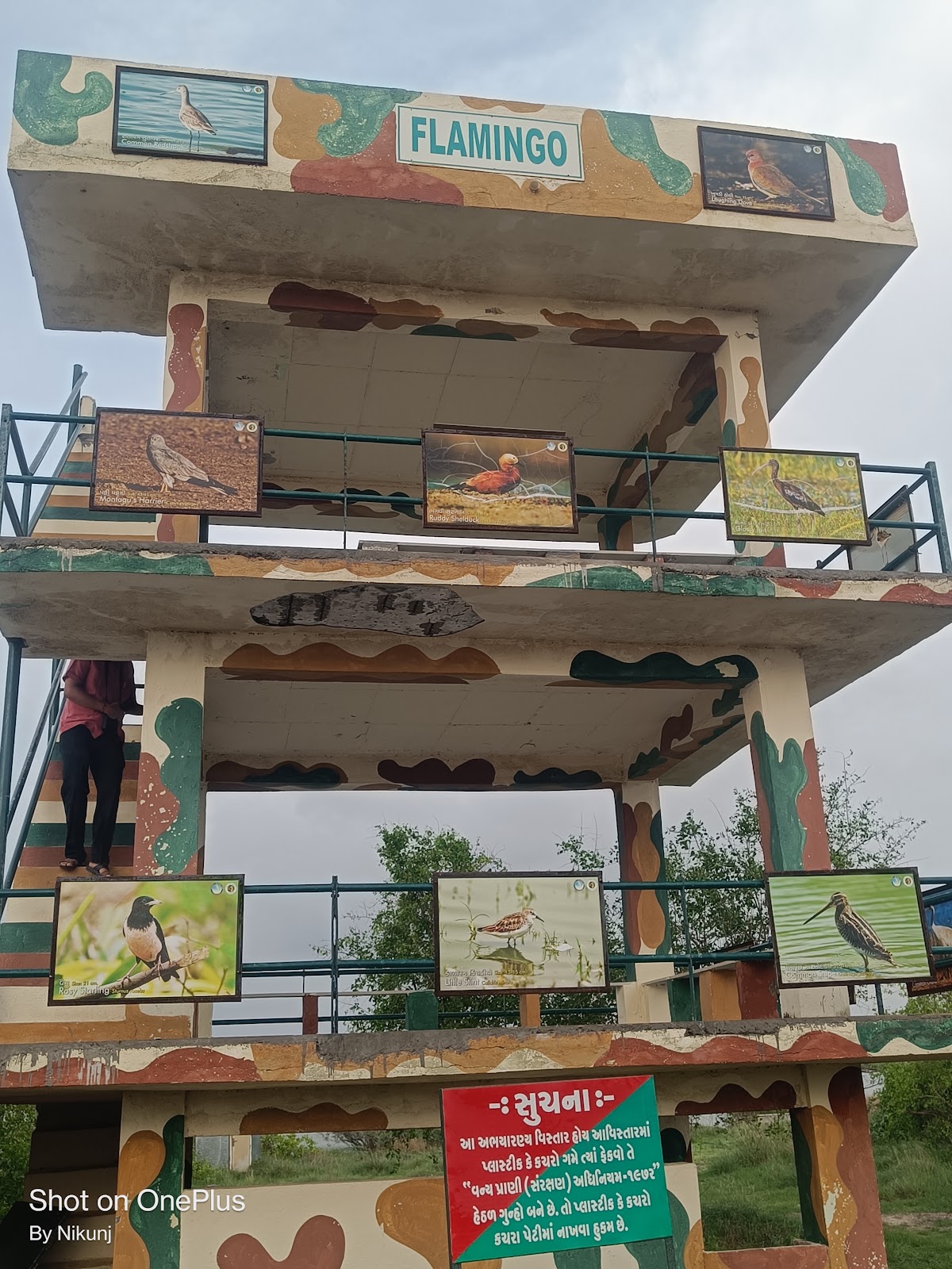 Birdwatching Hideouts