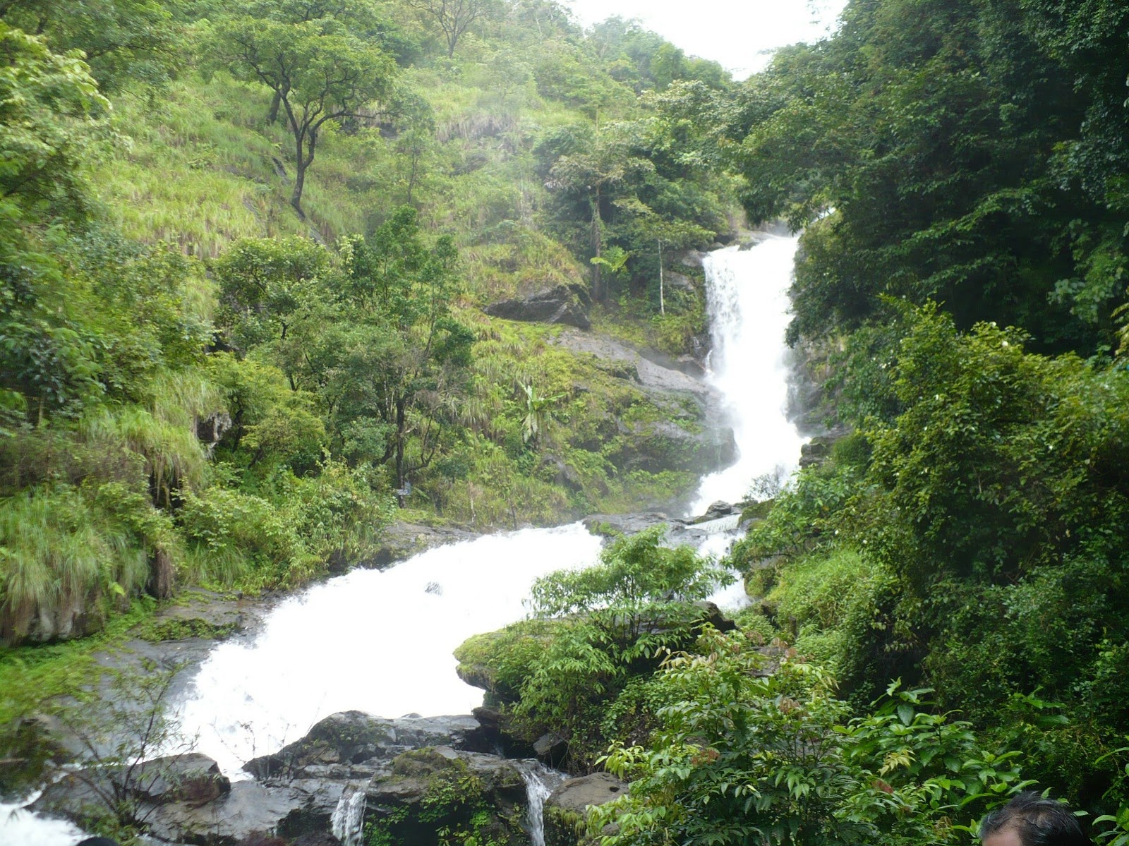 Kalpetta