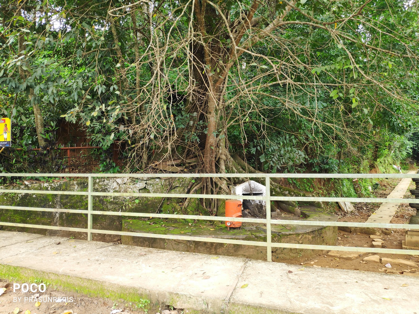 Chain Tree