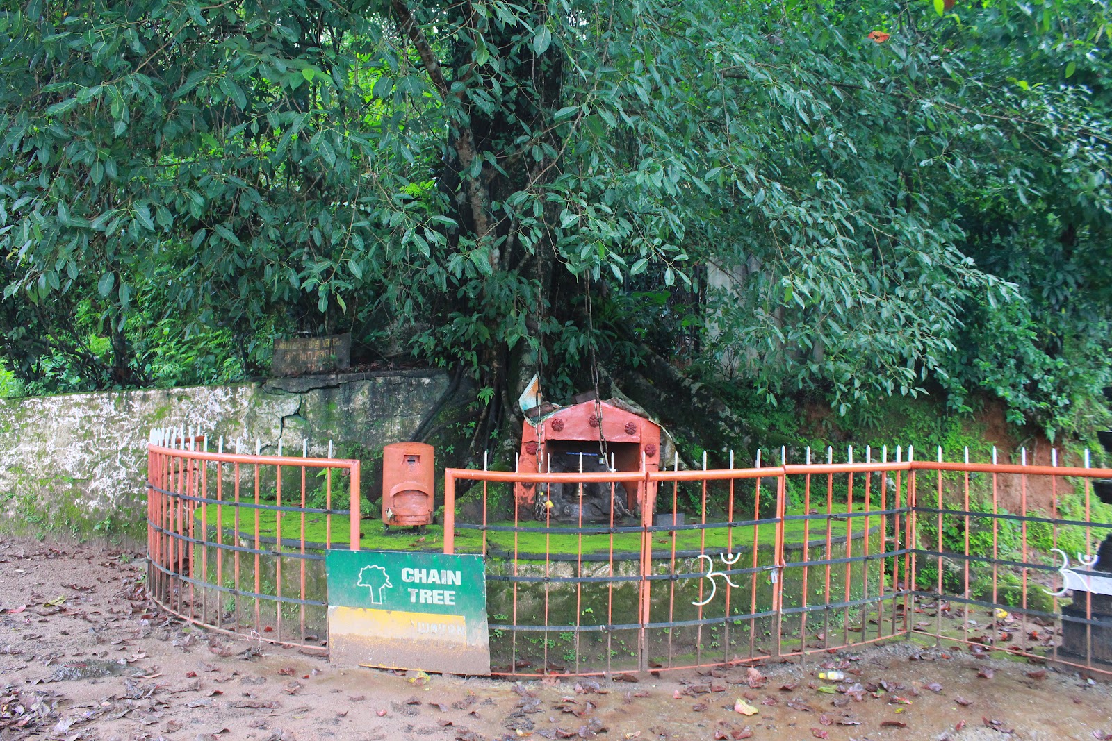 Chain Tree