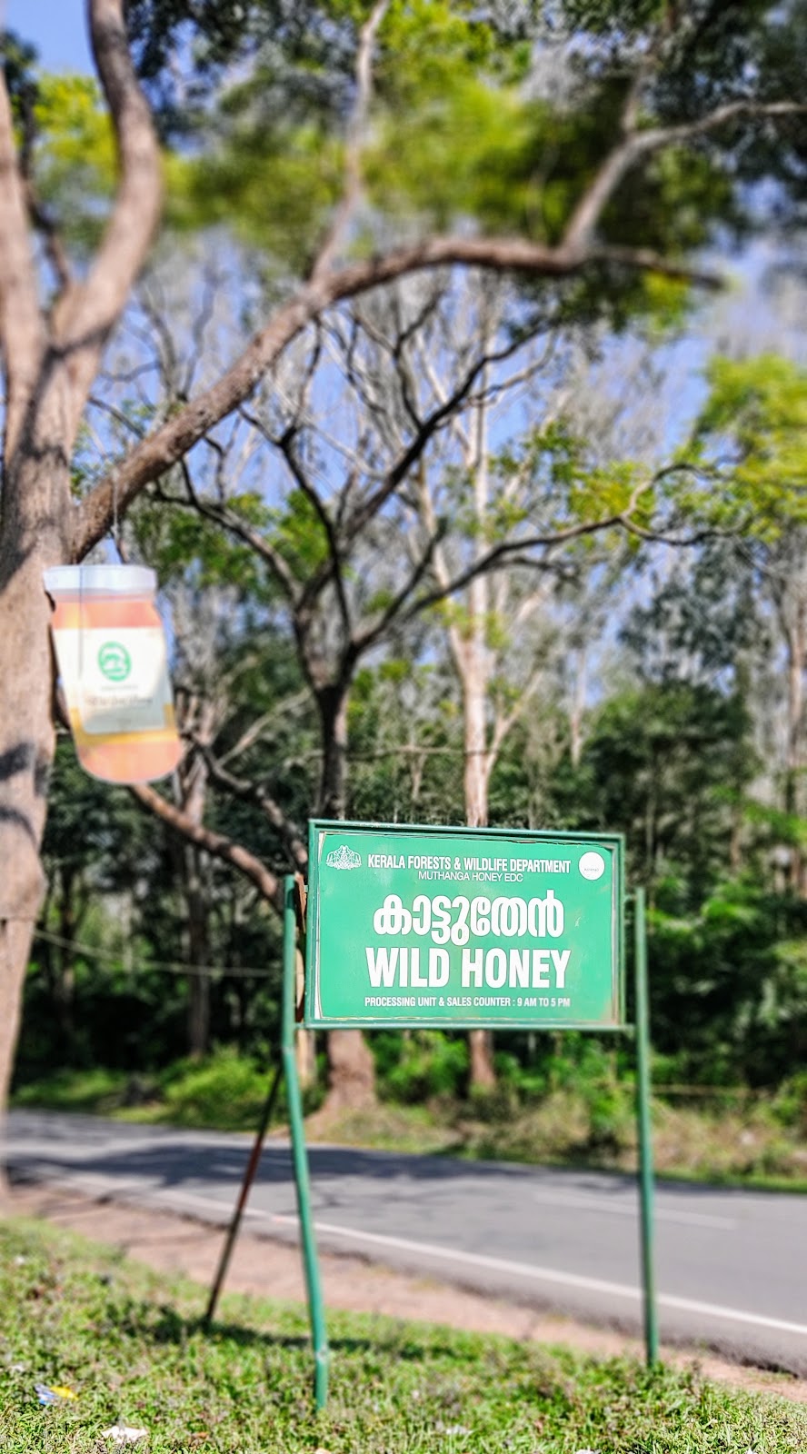 Chembra Peak