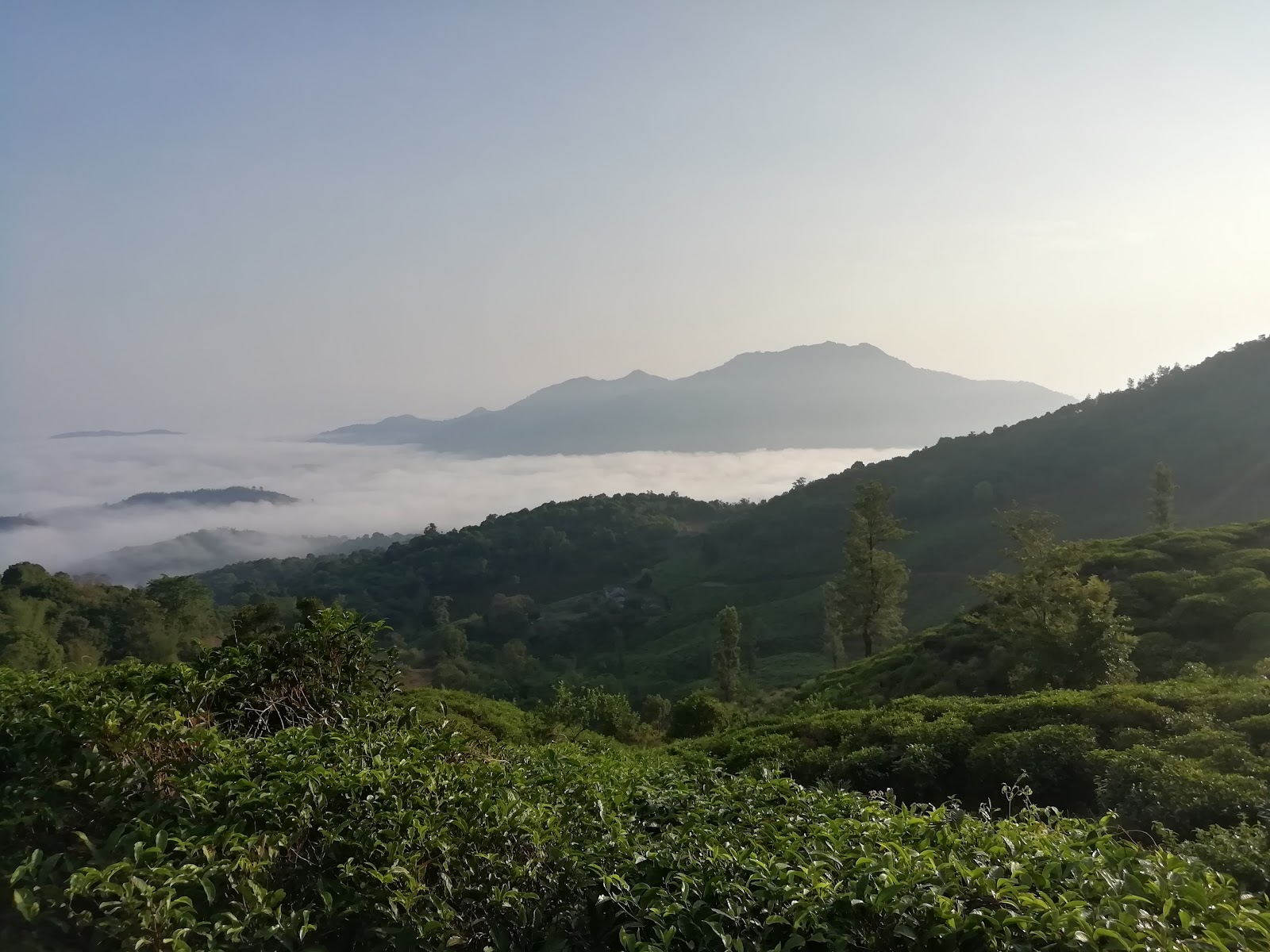 Chembra Peak