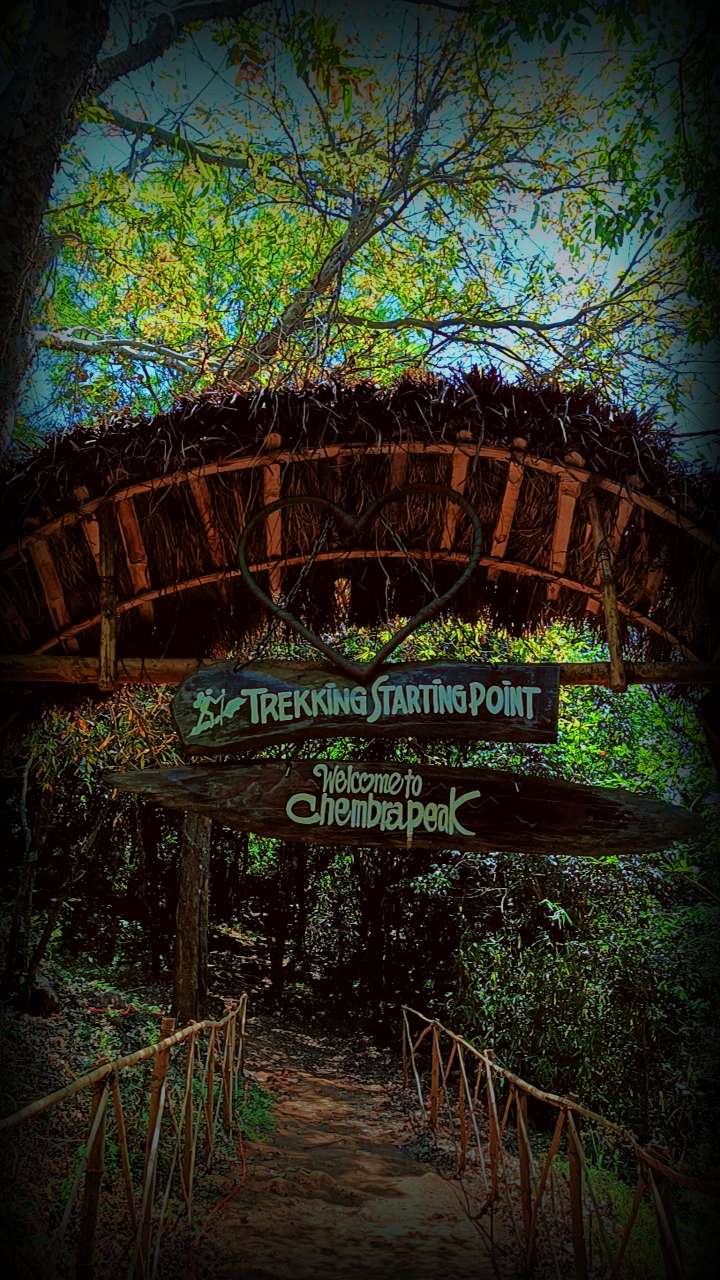 Chembra Peak