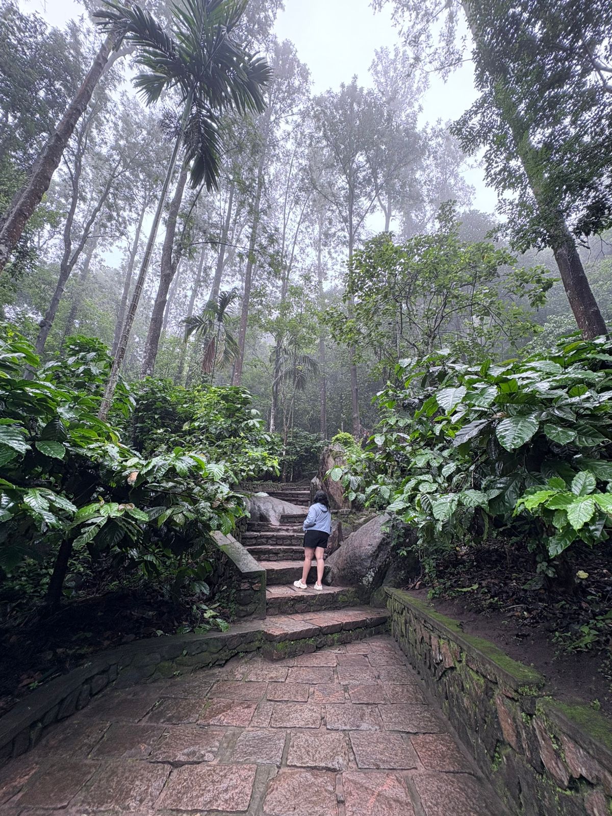 Edakkal Caves