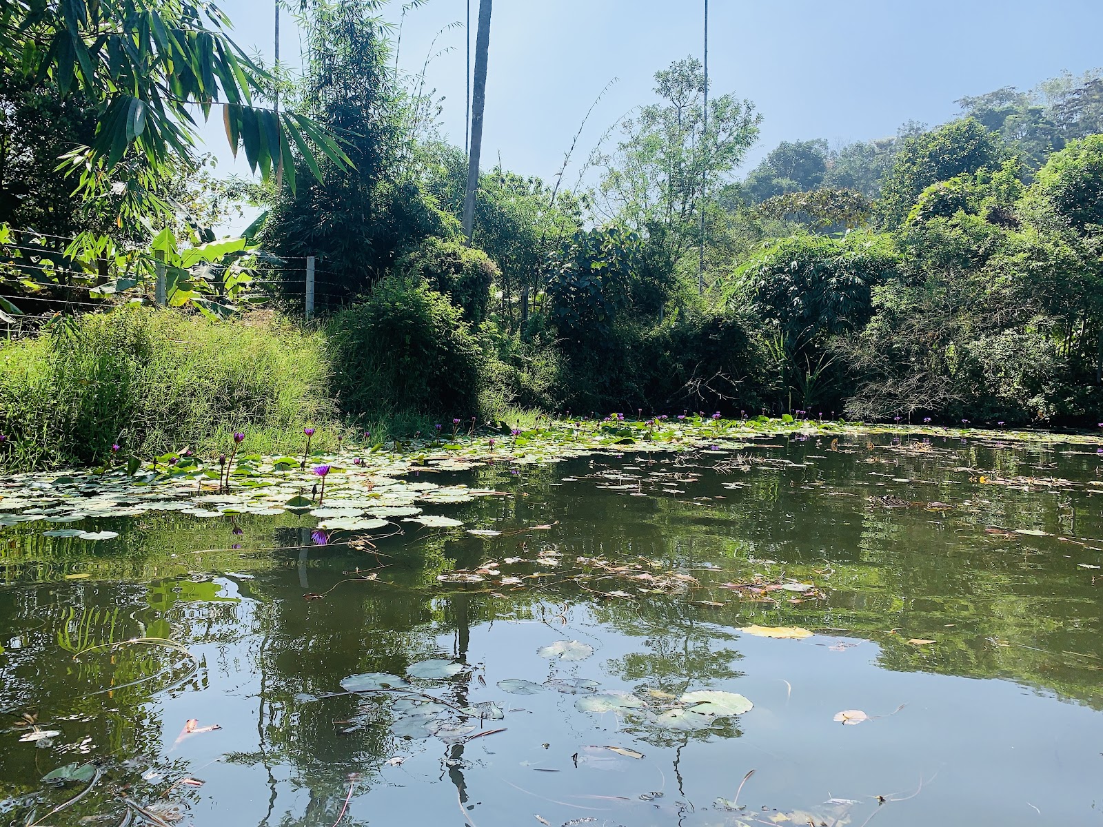 Karalad Lake