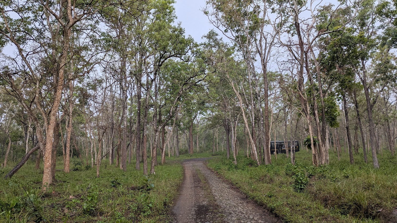Muthanga Wildlife Sanctuary