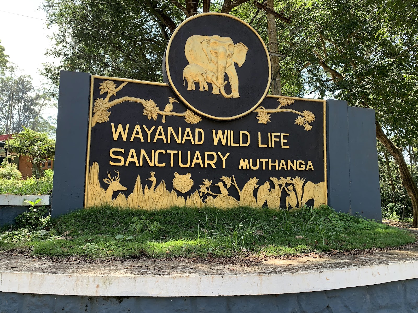 Muthanga Wildlife Sanctuary