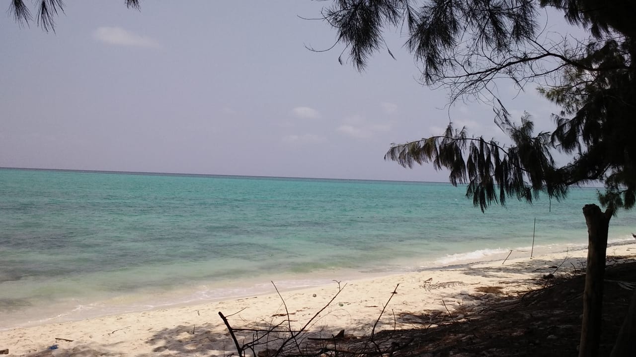 Amini Island