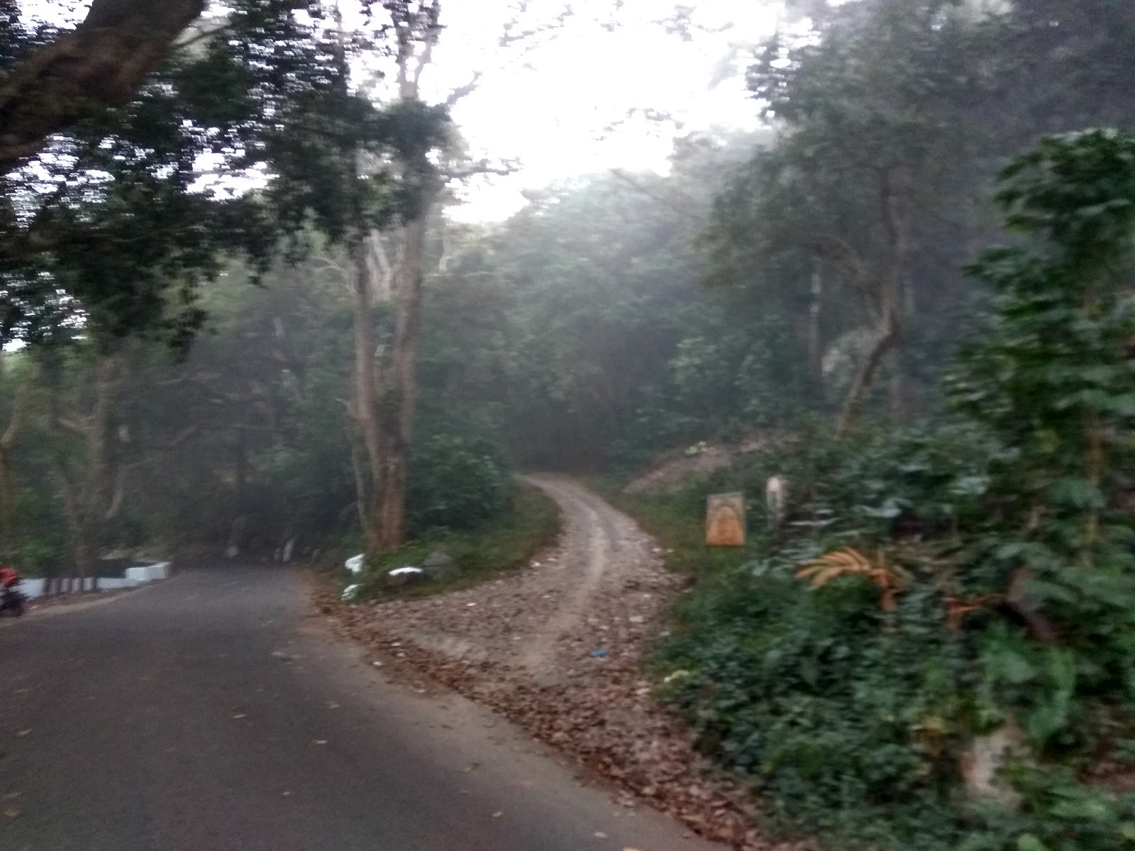 Local Tribal Villages