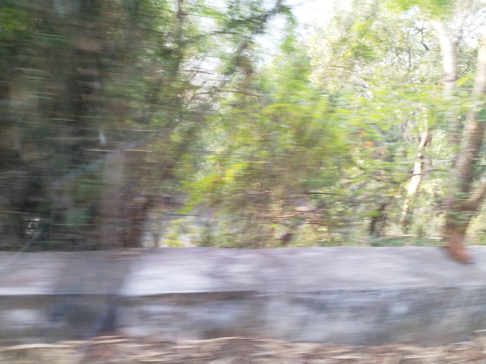 Local Tribal Villages