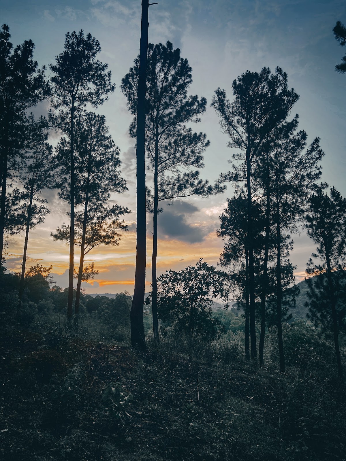 Local Tribal Villages