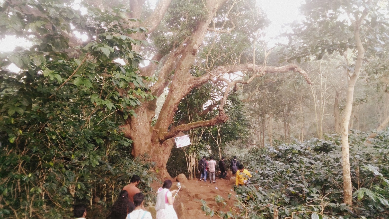 Local Tribal Villages