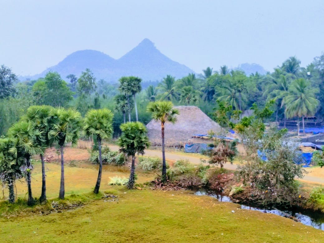 Local Tribal Villages